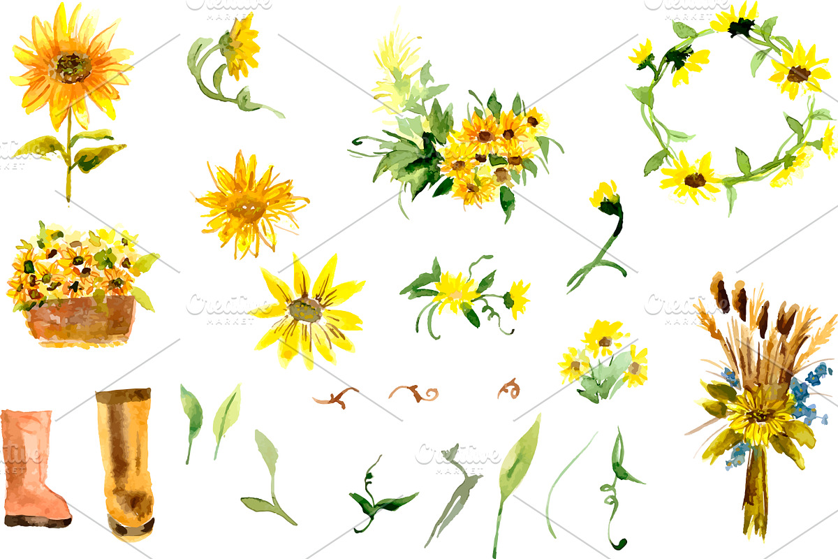 №2 Collection Watercolor Sunflowers, a Decorative Illustration by Rasveta (Photo 2 of 4)