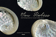 Sea Relics: Objects & Backgrounds, an Object Graphic by Purple (Thumbnail 2 of 14)