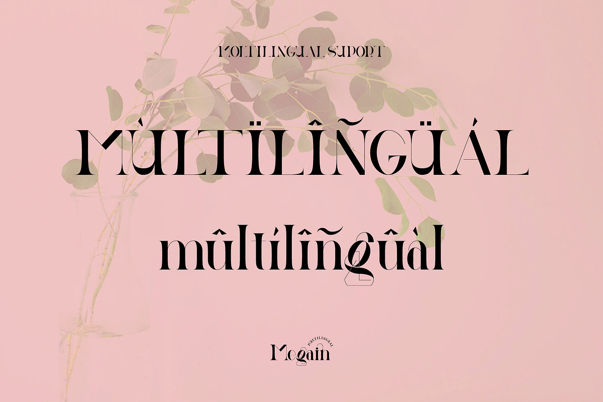 Megain Ligature Serif Typeface, a Serif Font by Humaira_std (Photo 12 of 14)