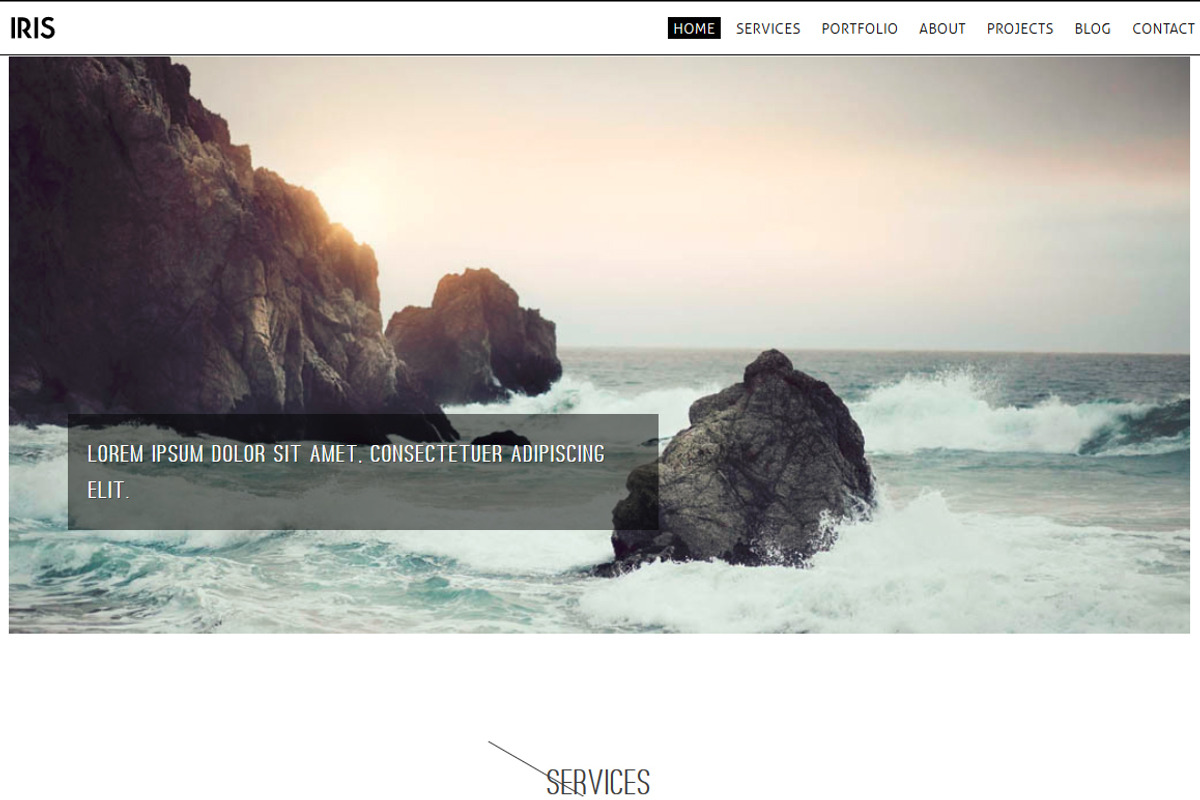 IRIS, a Bootstrap Template by ortheme (Photo 3 of 3)
