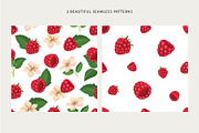 Delicious raspberries vector set, a Graphic by natamastery (Thumbnail 3 of 8)