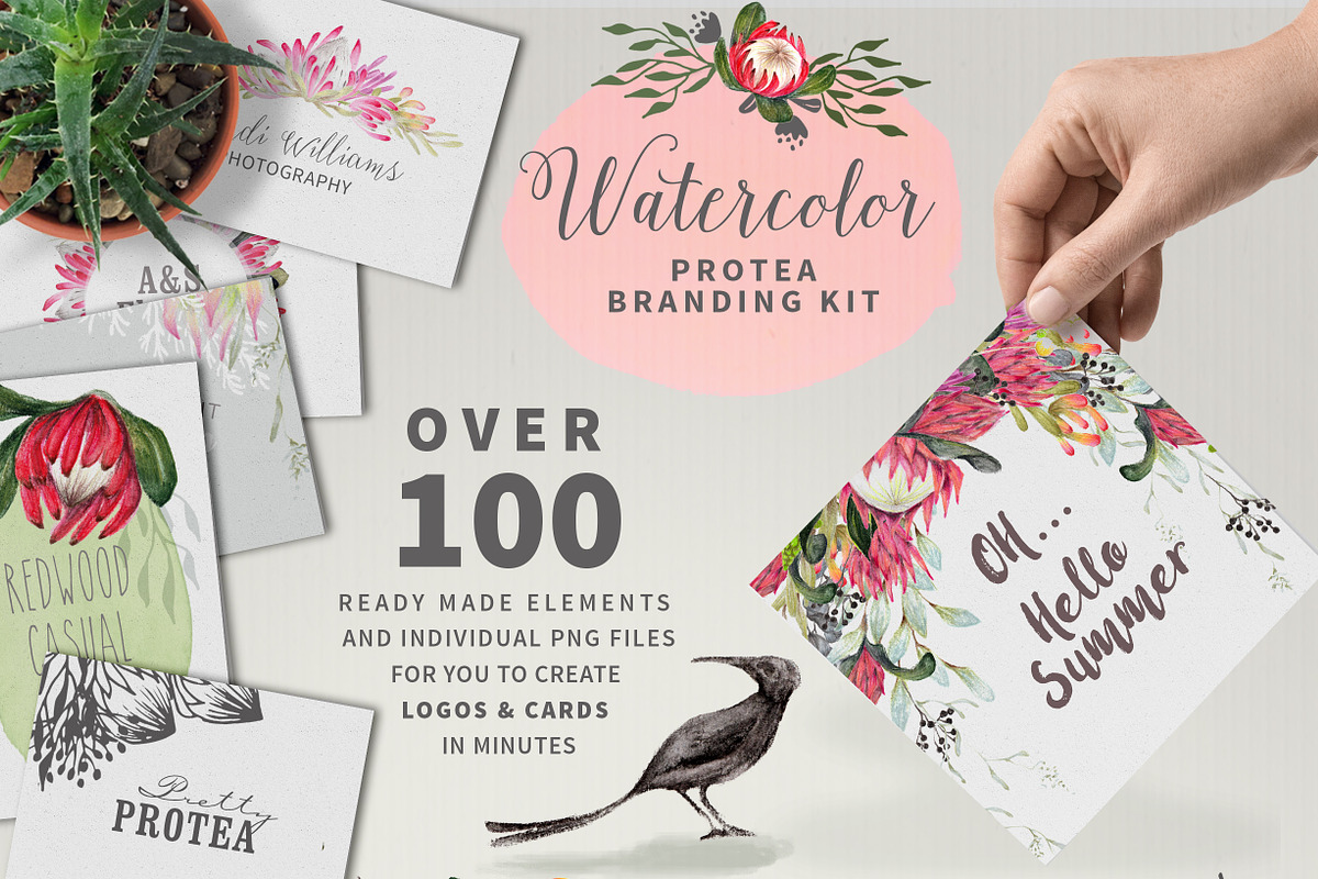 WATERCOLOR Protea Logo & Card Kit, an Illustration by Ingrid Marais Design (Photo 1 of 5)