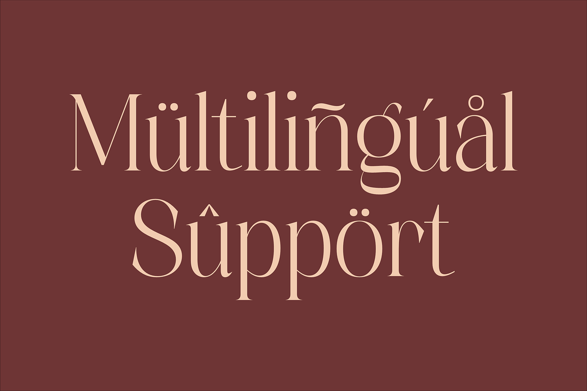 Alchadera A Modern Serif Font, a Serif Font by Storytype Studio (Photo 12 of 15)