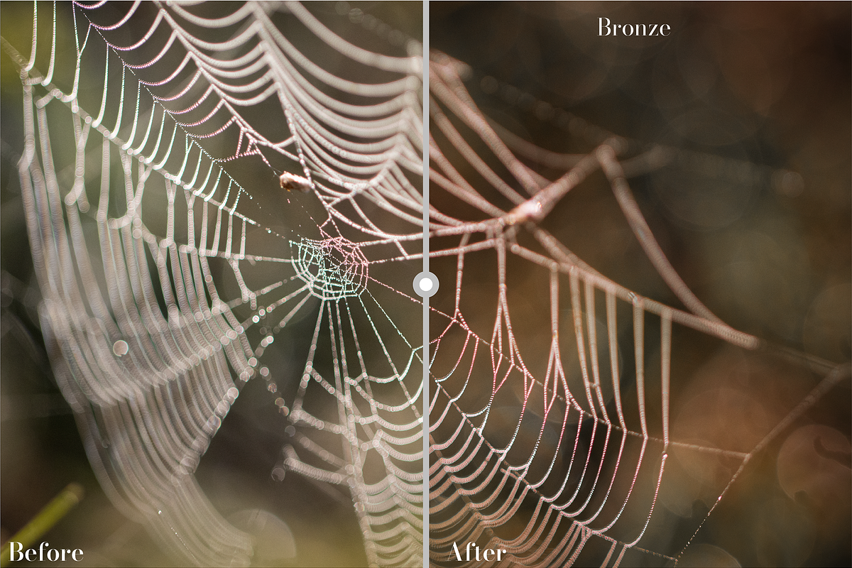 Golden Lightroom Presets, an Action Add-On by CL Creative Studio (Photo 3 of 9)