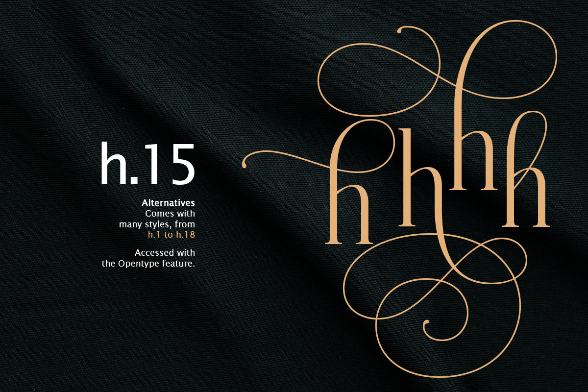 Sikandinarie, a Serif Font by Attract Studio (Photo 6 of 18)