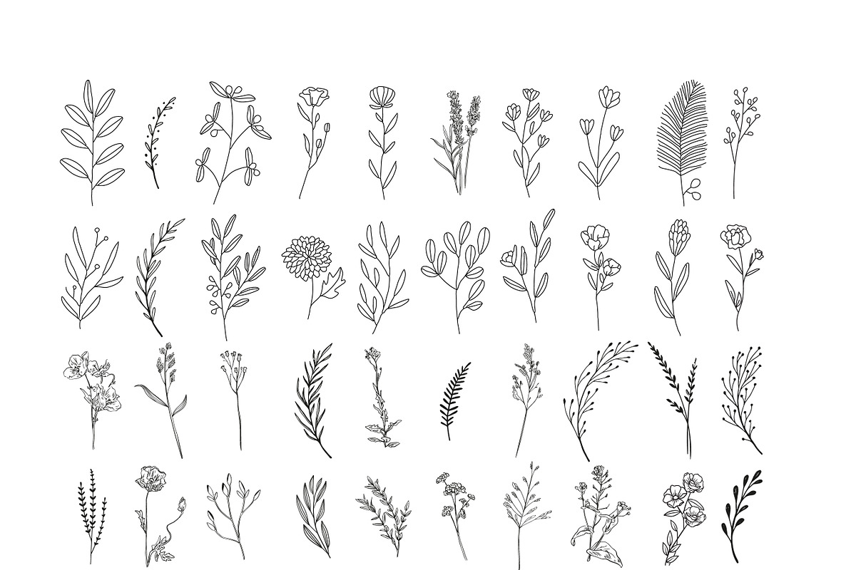200 Wildflowers Line Art Botanicals, an Illustration by LifestyleCraftCo (Photo 3 of 6)
