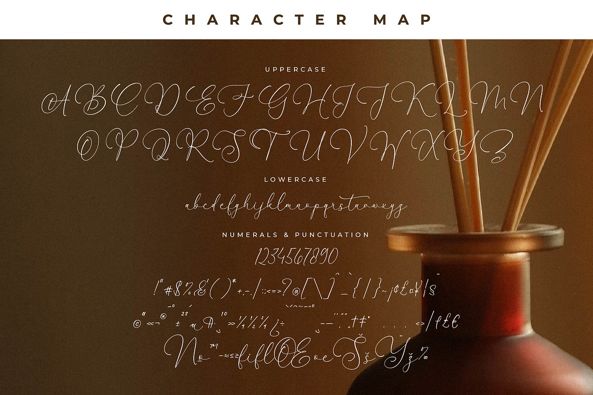 Fanttor Howery Font Duo, a Serif Font by Storytype Studio (Photo 13 of 15)