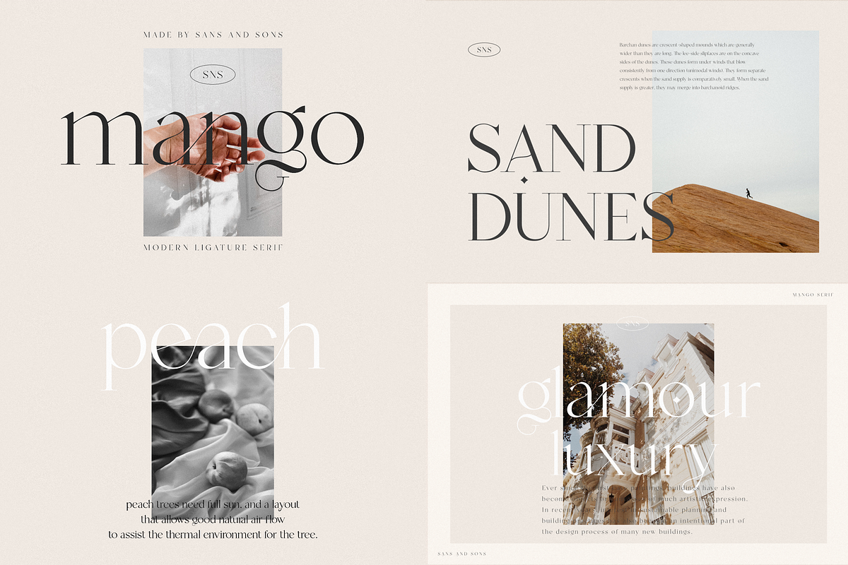 Modern Elegant Font Bundle - SALE, a Serif Font by Sans & Sons (Photo 11 of 11)