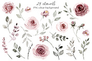 Dusty pink roses watercolor paint, an Illustration by Larisa Maslova (Thumbnail 4 of 8)