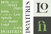 Gretha Family | 14 font family, a Serif Font by Jolicia Type (Thumbnail 7 of 12)