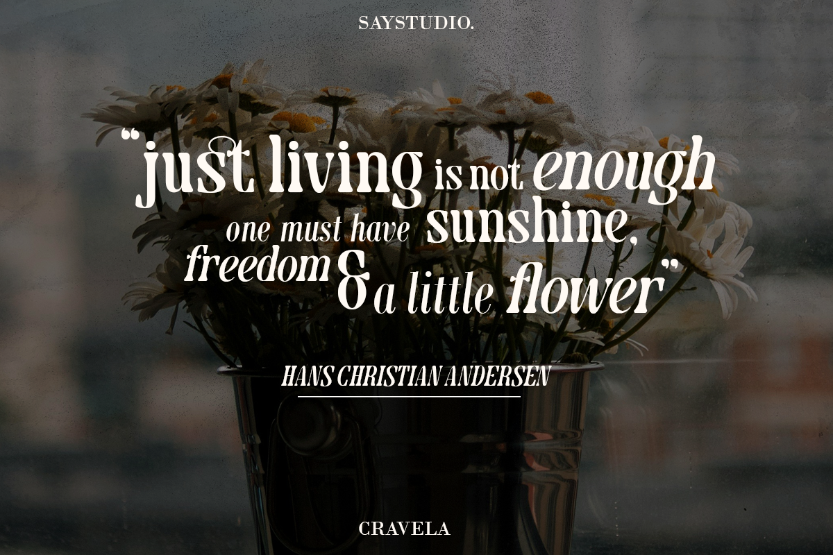 Cravela - Modern Serif, a Serif Font by Say Studio (Photo 6 of 14)
