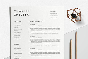 Sales Executive Resume Template