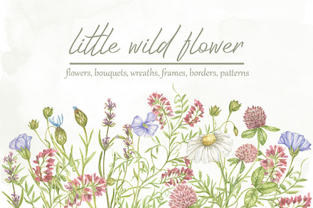Little wild flower, a Decorative Illustration by Irina Avdeeva