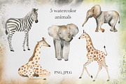 Safari Animals watercolor set, an Animal Illustration by Pattern + watercolor (Thumbnail 2 of 8)