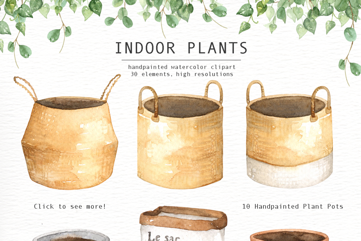 Indoor Plants Watercolor Clipart, an Illustration by everysunsun (Photo 3 of 5)