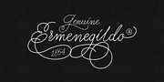 Charlize, a Script Font by GRIN3 (Nowak) (Thumbnail 2 of 5)