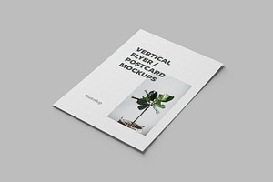 Vertical Flyer / Postcard Mockups