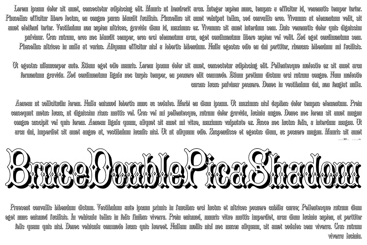 Bruce Double Pica PACK, a Serif Font by Intellecta Design (Photo 4 of 6)