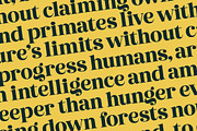 Metguy Behope Bold Serif Display, a Serif Font by timelesstype.co (Thumbnail 12 of 20)