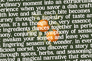 Magics Flavor Retro Modern Serif, a Serif Font by timelesstype.co (Thumbnail 12 of 20)