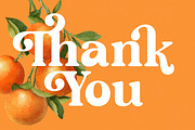 Sunday Ginger Vintage Serif, a Serif Font by timelesstype.co (Thumbnail 20 of 20)