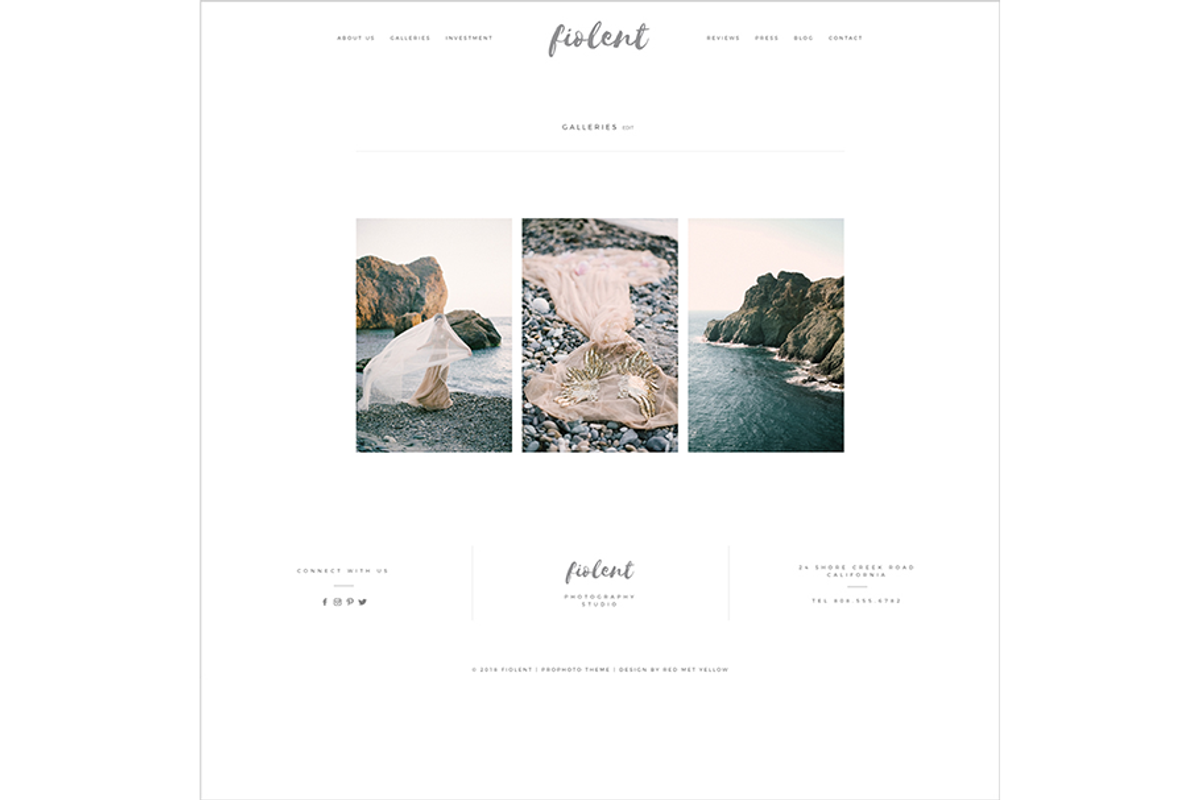 Fiolent ProPhoto 7 Template, a Websites & App Template by Red Met Yellow Creative (Photo 5 of 10)