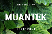 Muantek, a Serif Font by lelevien (Thumbnail 1 of 5)