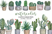 Watercolor Cactus Clipart PNG, an Object Illustration by PatternPalette (Thumbnail 1 of 3)