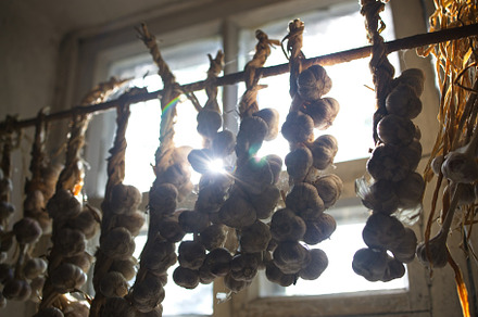 braided garlic hanging from the window