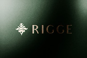 Logo Mockup Gold Foil Stamp on Paper, a Product Mockup by Asylab (Thumbnail 2 of 5)