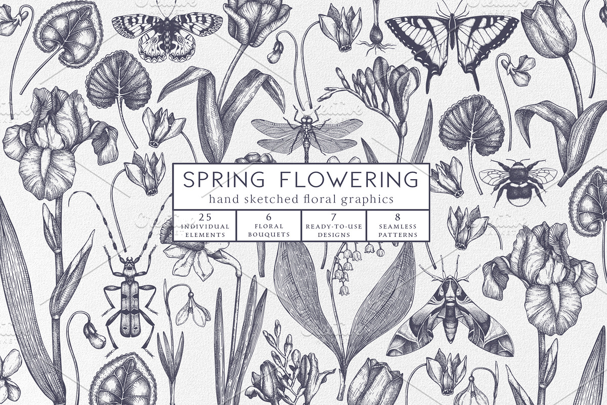 Hand Drawn Spring Flowers Set, a Seasonal Illustration by Yevheniia (Photo 1 of 16)