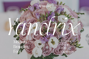 Yandrix | Serif Regular & Italic