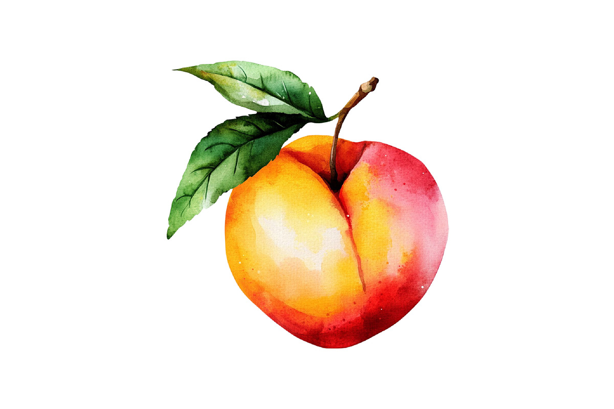 Watercolor Fruits Cocktail Summer, an Illustration by Craft Nest (Photo 10 of 12)