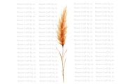 Dried Pampas Grass, a Decorative Illustration by Bloom Craft Creations (Thumbnail 2 of 10)