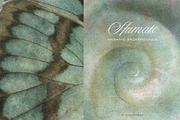 Sfumato Organic Textured Backgrounds, a Background Graphic by alonahaidash (Thumbnail 15 of 15)