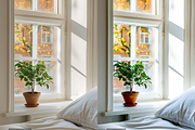 20 Interior Lightroom Presets, a Preset Add-On by RamsaGraphi (Thumbnail 8 of 10)