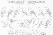 Delicate Autumn Collection, a Seasonal Illustration by GVGraphics (Thumbnail 2 of 15)