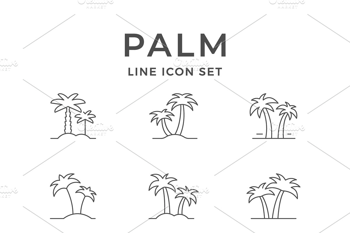 Set line icons of palm, an Outline Icon by motorama (Photo 1 of 2)
