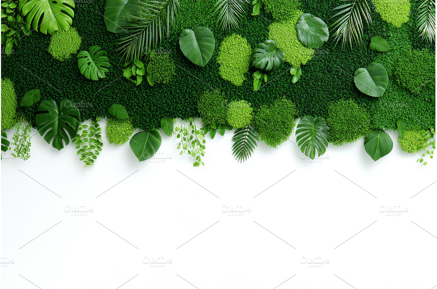 On a solid white background, a, a Nature Photo by ZinetroN