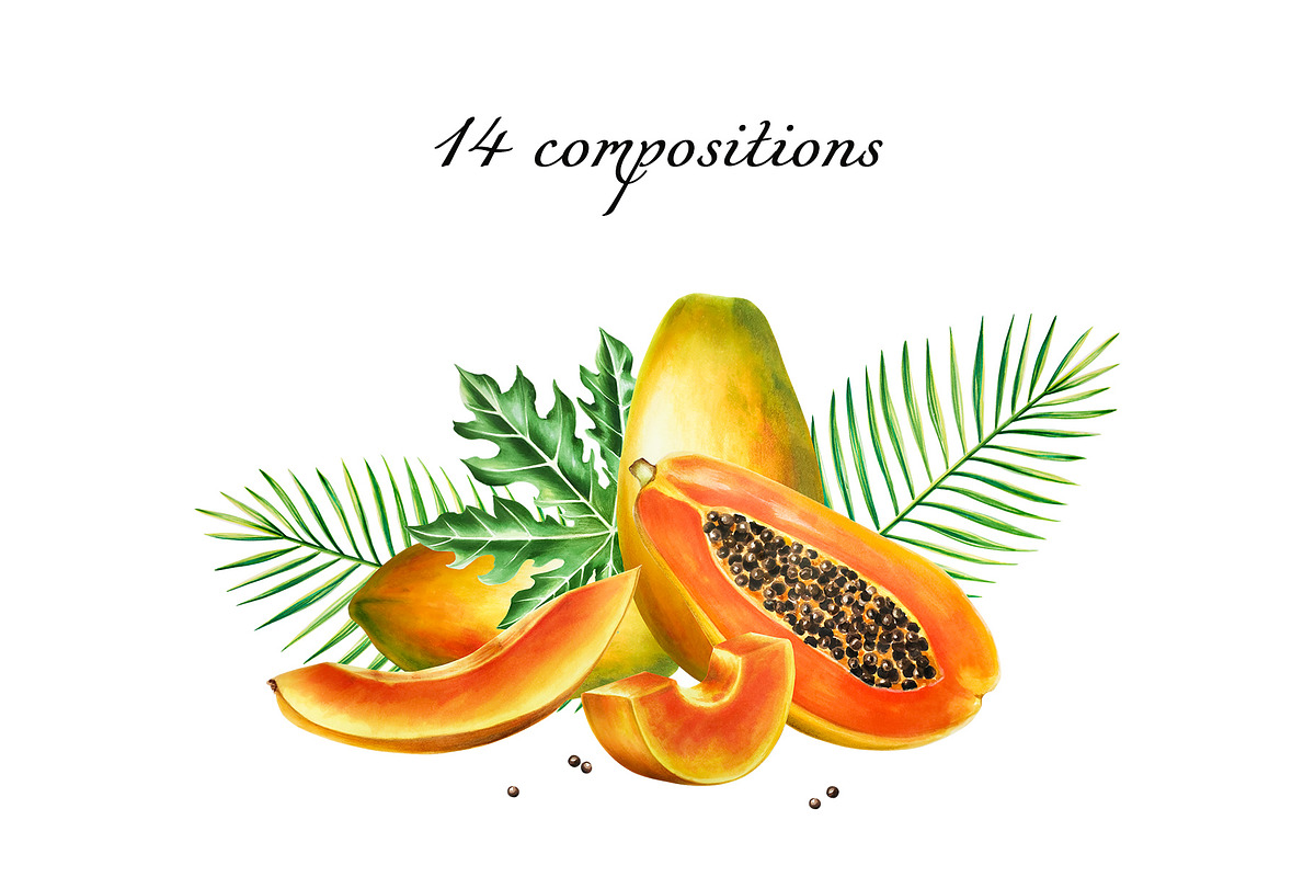 Papaya clipart in botanical style, a Food Illustration by Navenzeles (Photo 3 of 12)