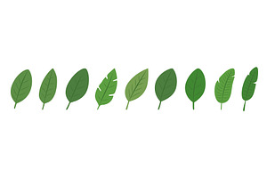 Set of tropical leaves. Botanical, an Illustration by GraphiShop
