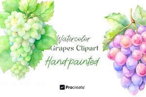 Watercolor Grapes Clipart