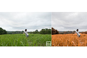 Kamin Colorful, an Action Add-On by Kamin Lightroom Preset (Thumbnail 3 of 22)