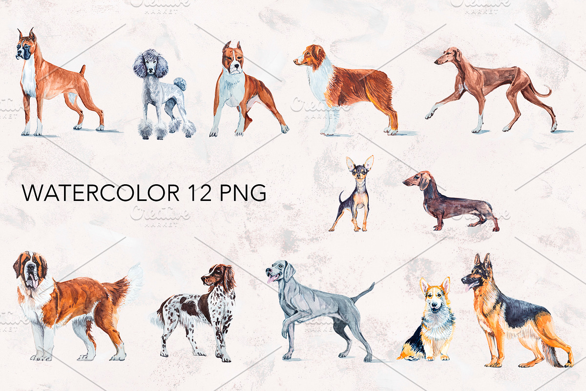 Dogs watercolor collection., an Animal Illustration by lilisavelieva (Photo 2 of 3)