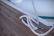 Marina - Boat Slips - Floating Dock, an Object 3D Model by RoHo Productions (Thumbnail 26 of 39)