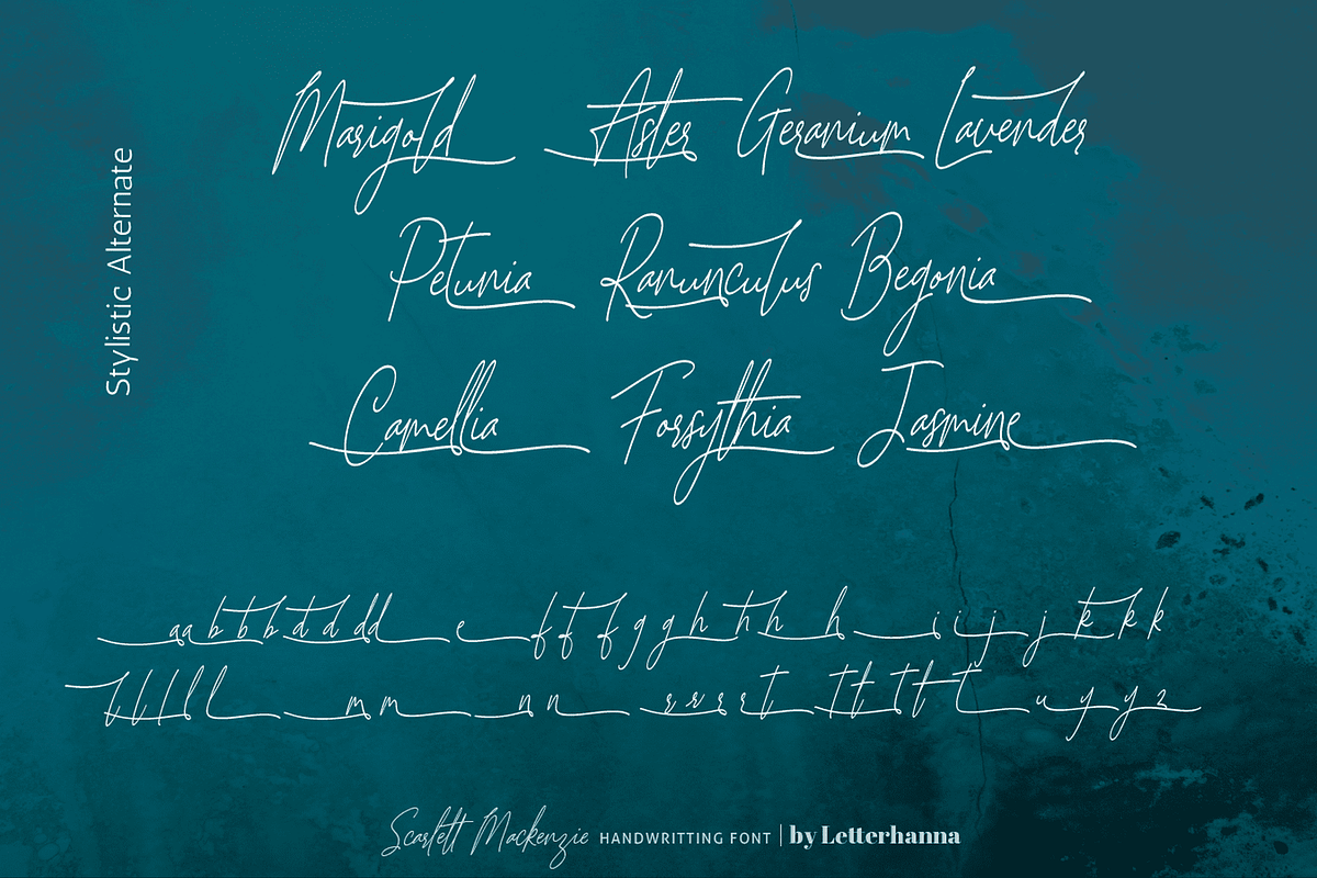 Scarlett Mackenzie Handwriting Font, a Handwritten Font by Letterhanna Studio (Photo 17 of 20)