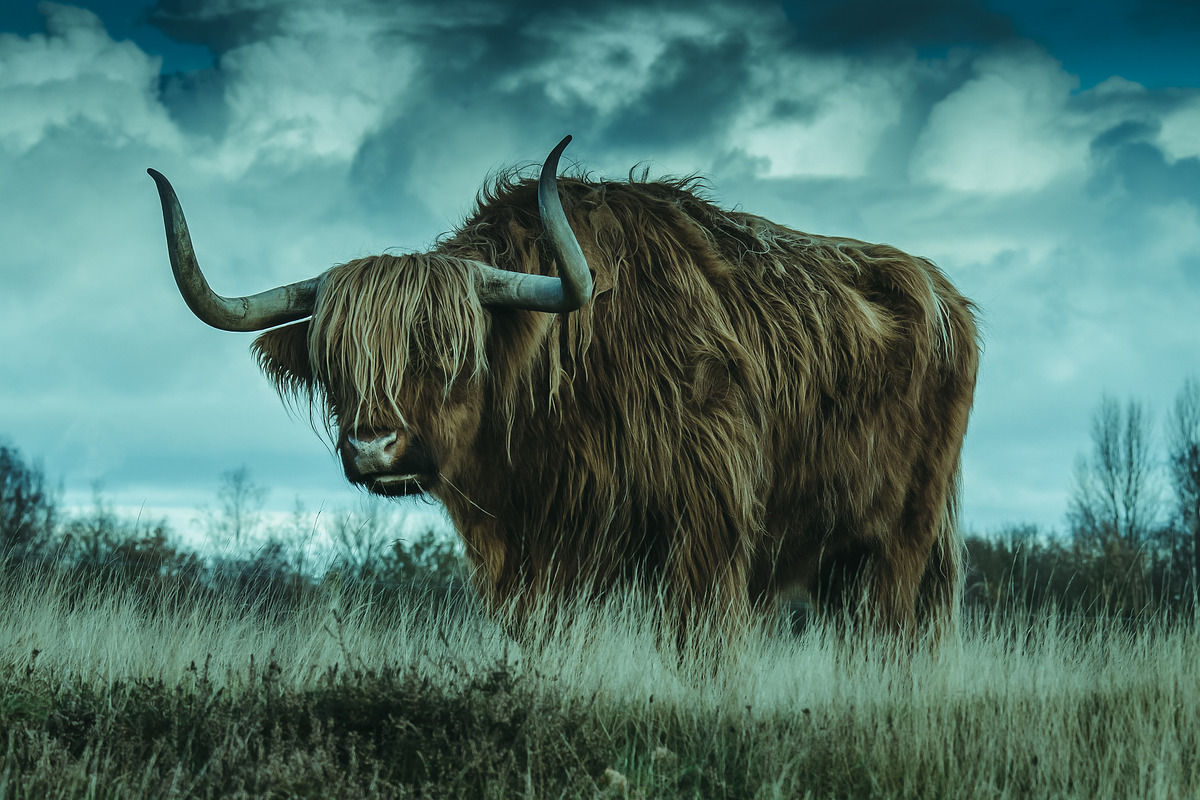 300 Professional Lightroom Presets, an Action Add-On by Madison Colt Studios (Photo 27 of 29)