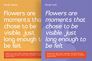Slangky - Modular Display Sans, a Sans Serif Font by CuratedType Studio (Thumbnail 4 of 10)