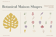 Botanical Maison – 83 Vector Set, a Decorative Illustration by designvectx (Thumbnail 1 of 6)