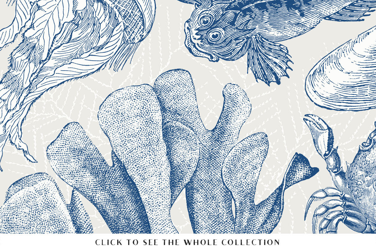 88 Vintage Nautical Illustrations, an Illustration by Century Library (Photo 2 of 6)